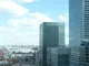 P1000238.jpg