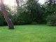 Communal Gardens