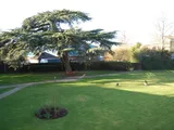 ADDLESTONE