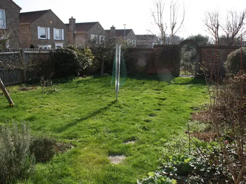 garden.jpg