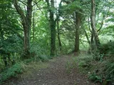 Derriton, Holsworthy