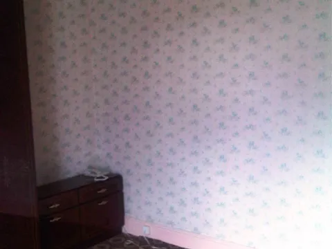 IMG01098-20110907-1427.jpg