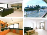 The Pimlico Portfolio
