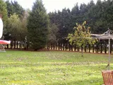 Greenacres, Shawell, Leicestershire