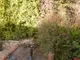 Front Gardens/Drivew Front Gardens/Drivew