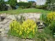 Image 11 Image 11