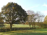 Highwood