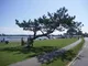 Poole Park (Area Ima Poole Park (Area Ima