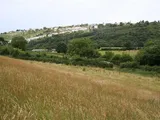 Taddiport

