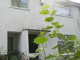 Holcombe Walk, Stockport