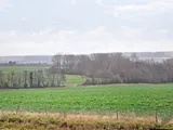 Boughton Aluph, Ashford, Kent
