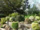 Gardens Gardens