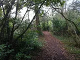 Horseman's Spinney
Chulmleigh