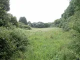 
Bickington