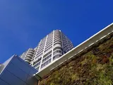 David Murray John Tower