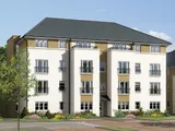 Douglas, WALLACE GARDENS, Stirling, Stirling