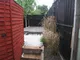 Image 10 Image 10