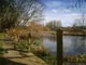 path along lake