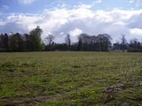 CONGLETON ROAD, NETHER ALDERLEY