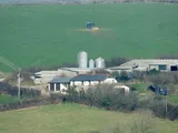 West Down, Ilfracombe