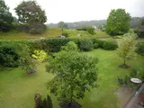 DORKING