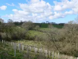 Gidcott, Holsworthy