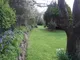 Garden Garden