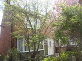 Queens Avenue, Dalton-le-dale, Seaham SR7