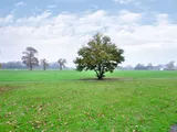 Horley, Surrey