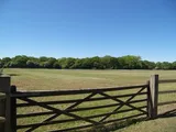 Ash Road, Ash