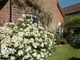 Garden Garden