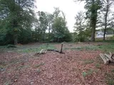Timberholme, TD9 8TD
