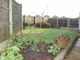 Image 5 Image 5