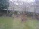 Image 5 Image 5