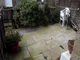 Image 5 Image 5