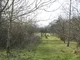 open-uri20130330-18728-1ykpzel-0.jpg