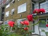 Stevens Close, Beckenham, Kent, BR3