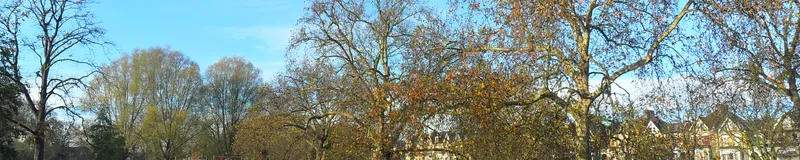 SAM_0191.jpg